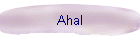 Ahal